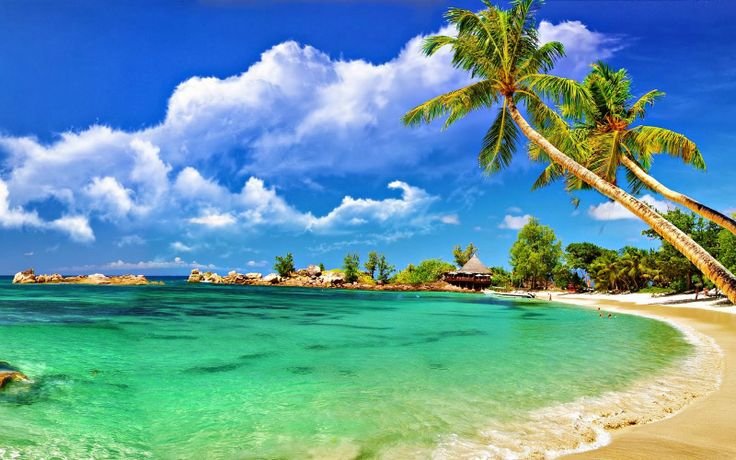 Andaman Tour Packages